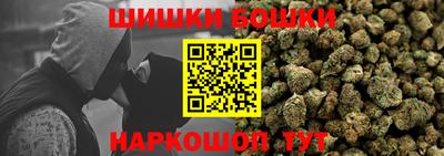 Альфа ПВП Гатчина