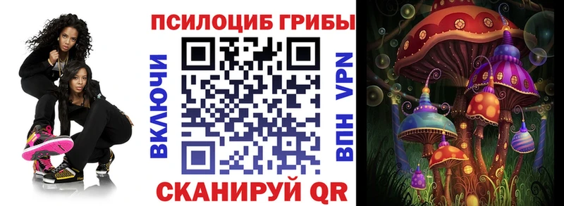 купить закладку Москва Псилоцибиновые грибы ЛСД