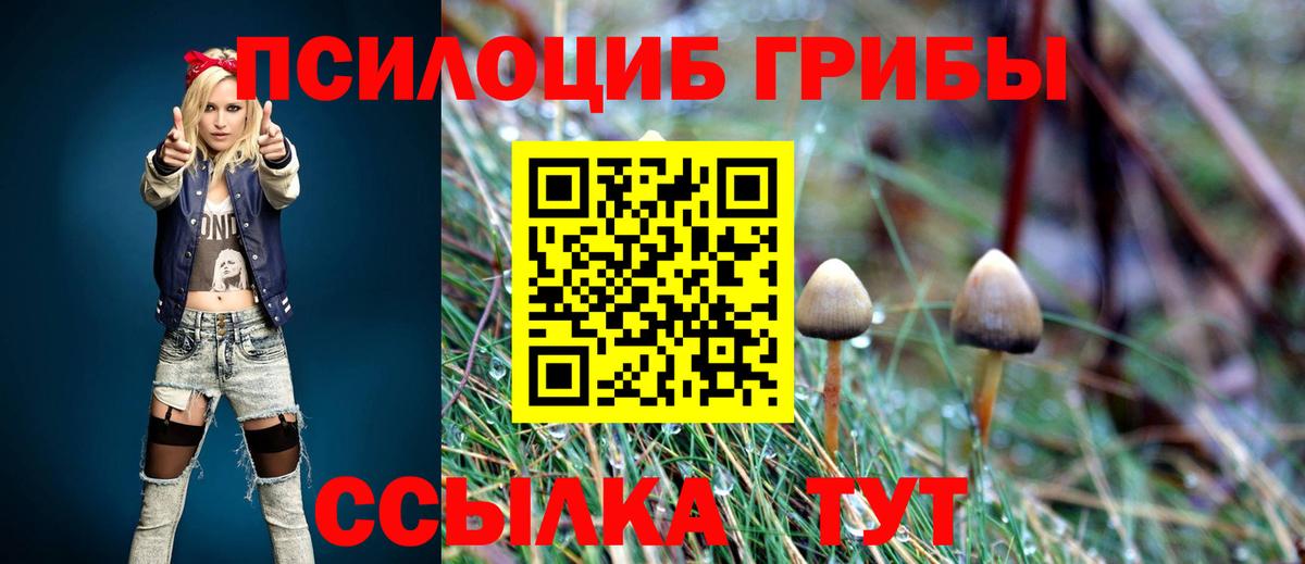 Псилоцибиновые грибы прущие грибы Москва